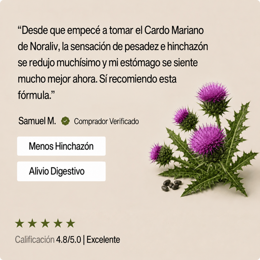Cardo Mariano Complex con Silimarina – Noraliv
