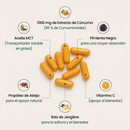 Cúrcuma Vital 95 Noraliv
